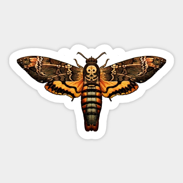 Deaths Head Hawk Moth Sticker by wildtribe